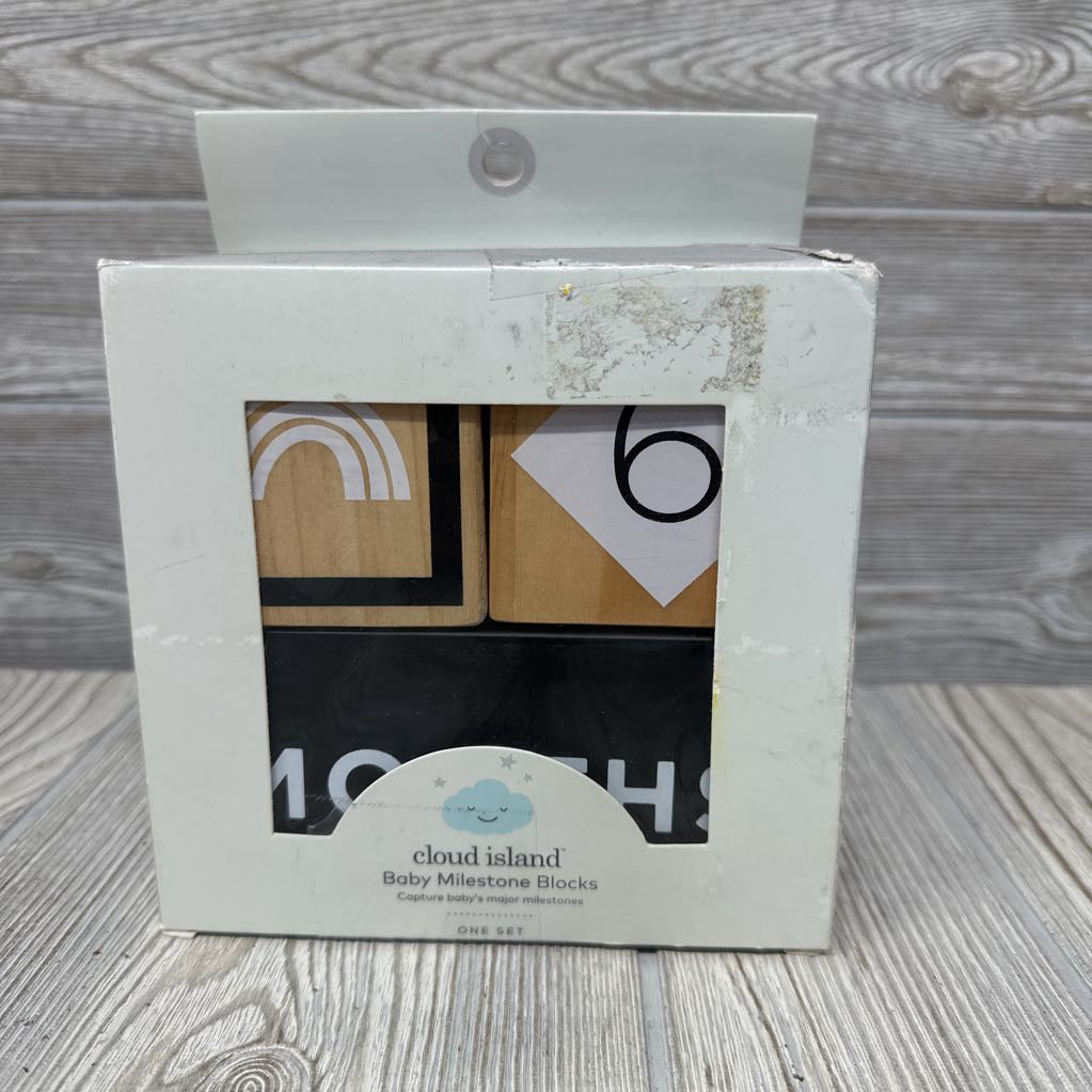 NEW Baby Milestone Blocks