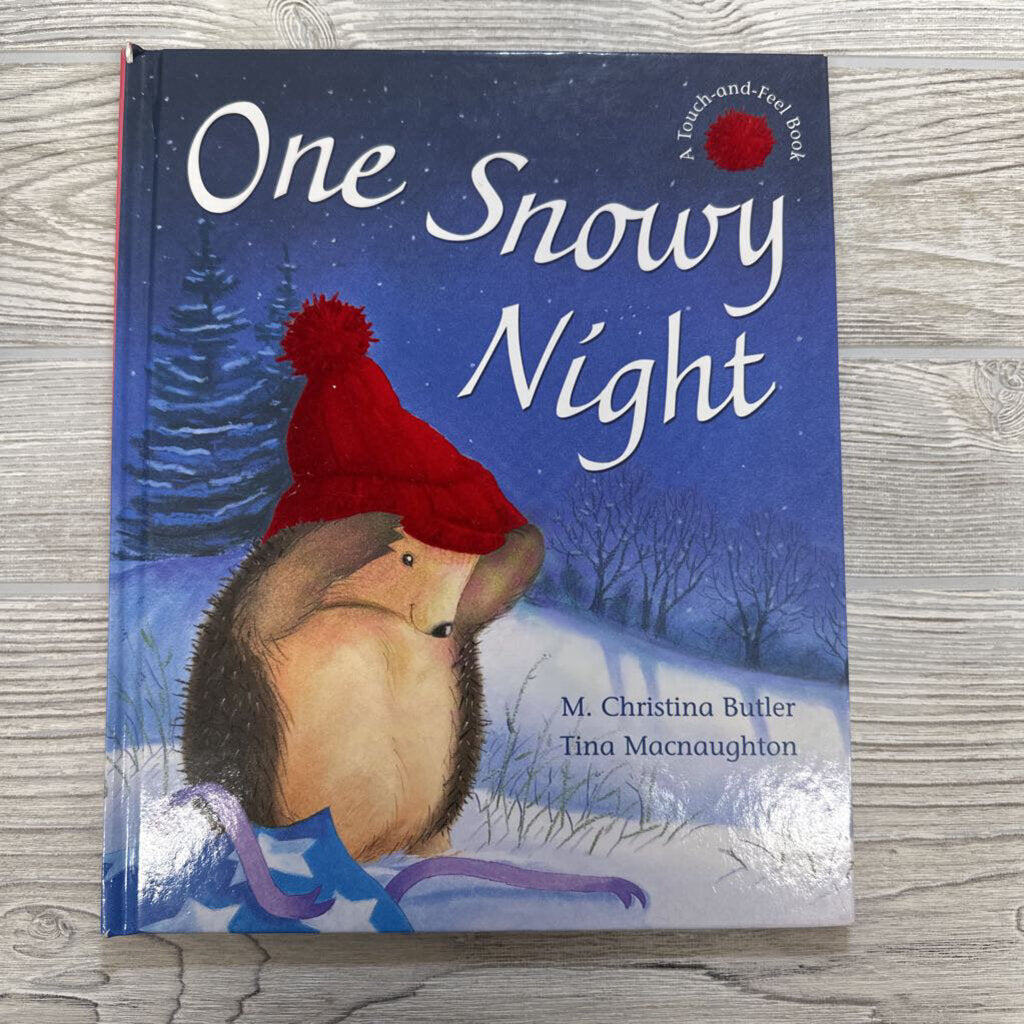 Book One Snowy Night