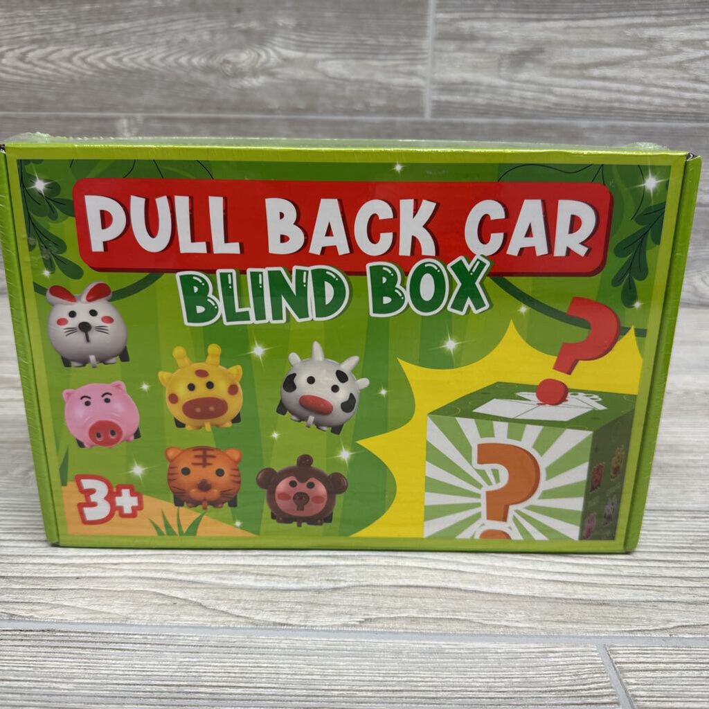 NEW 24 Pk Pull Back Blind Car Box