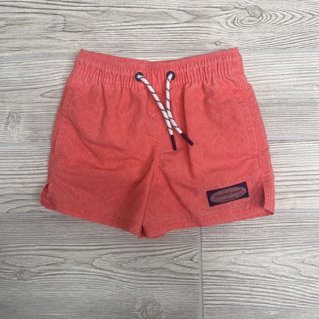 Drawstring Swim Trunks Chevron