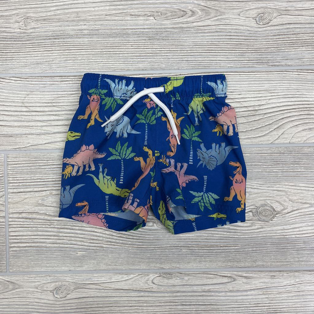 Drawstring Swim Trunks Dinosaurs