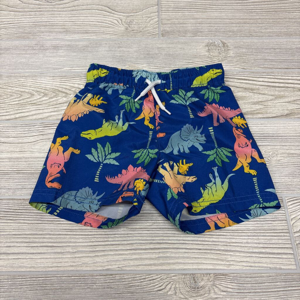 Drawstring Swim Trunks Dinosaurs Palm Trees