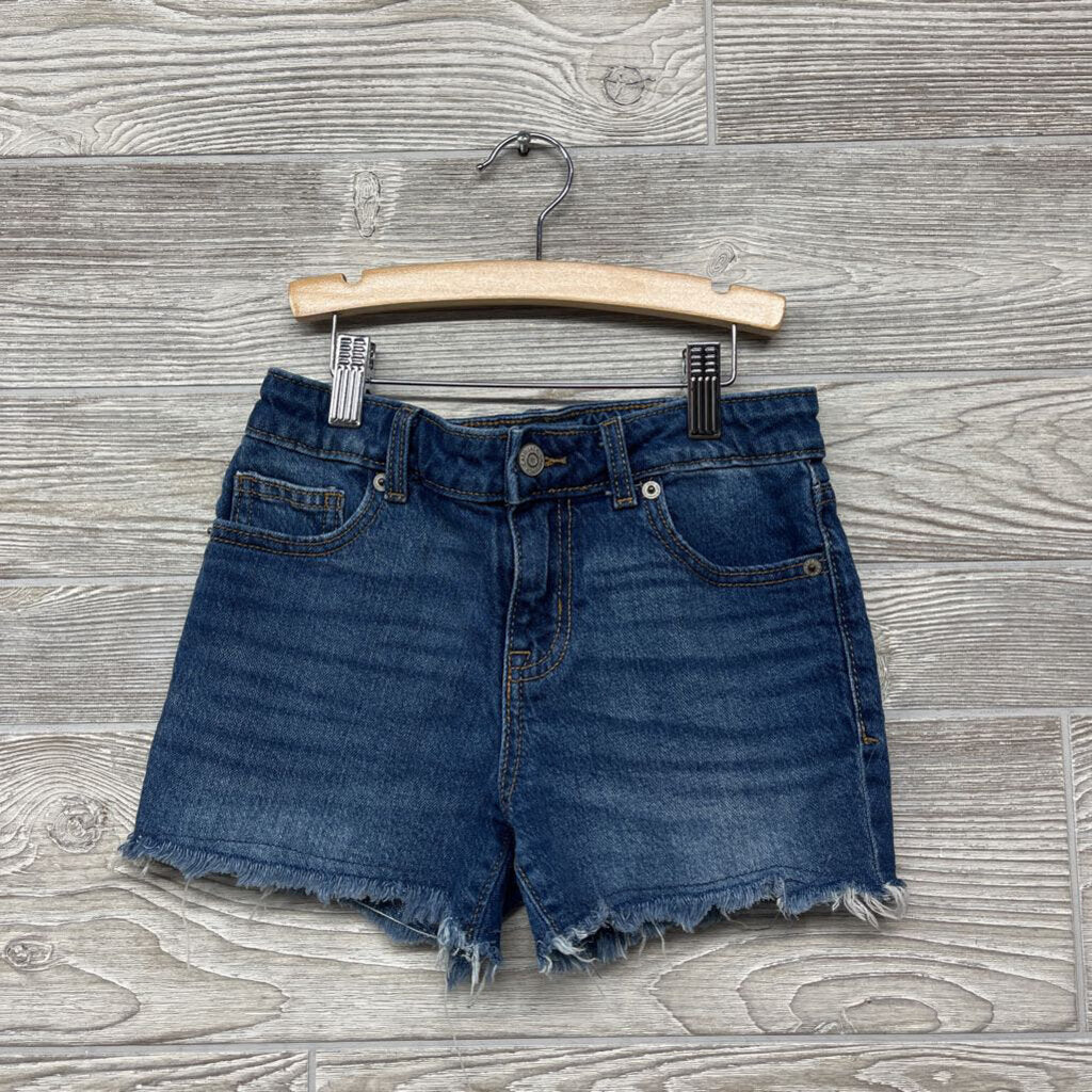 Denim Shorts Fringes