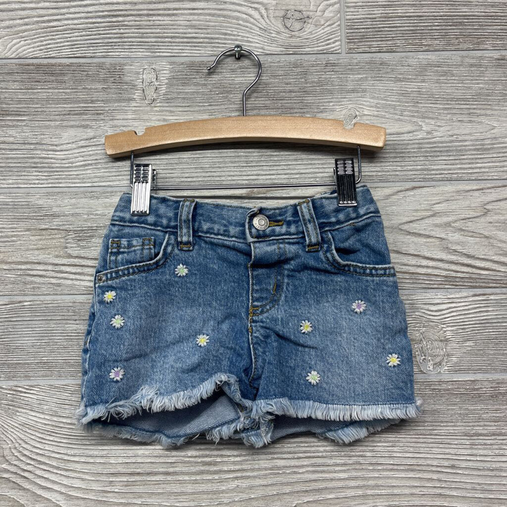 Denim Shorts Embroidered Flowers