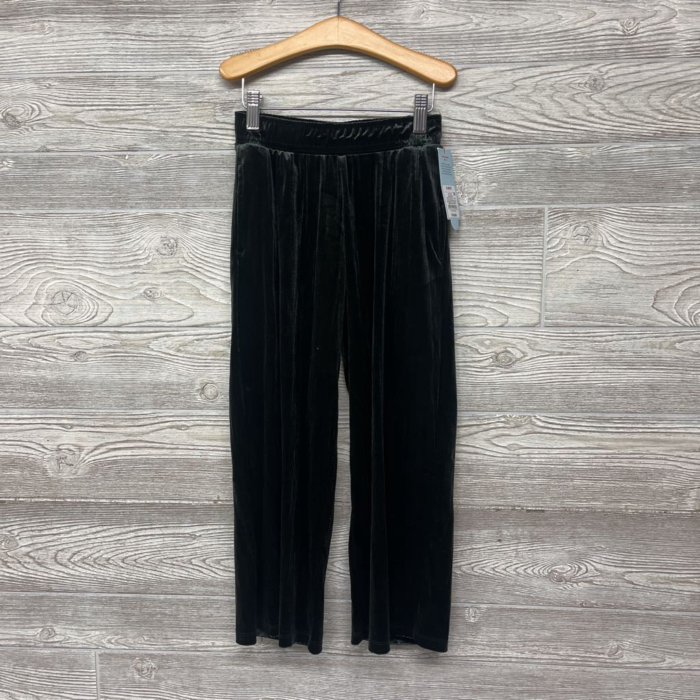 NEW Sheer Velour Pants