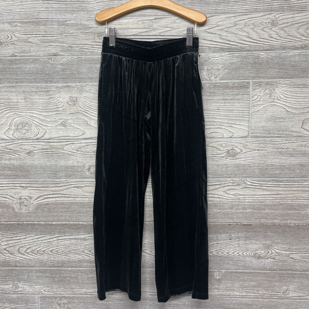 NEW Sheer Velour Pants