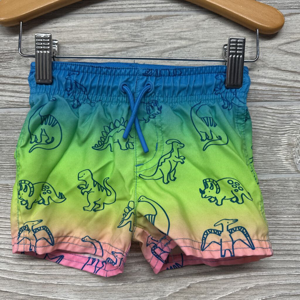 Swim Shirt & Shorts Dinosaurs
