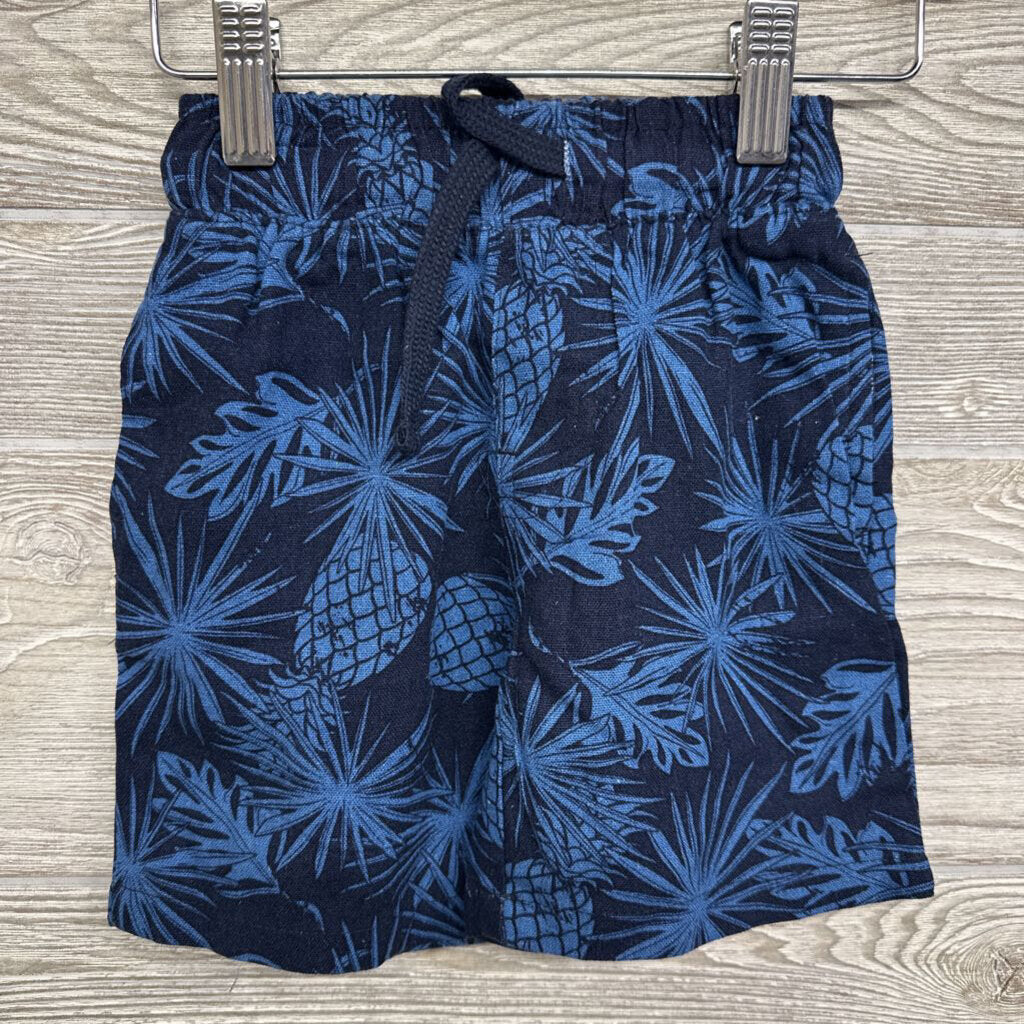 Button Up Shirt & Shorts Pineapples