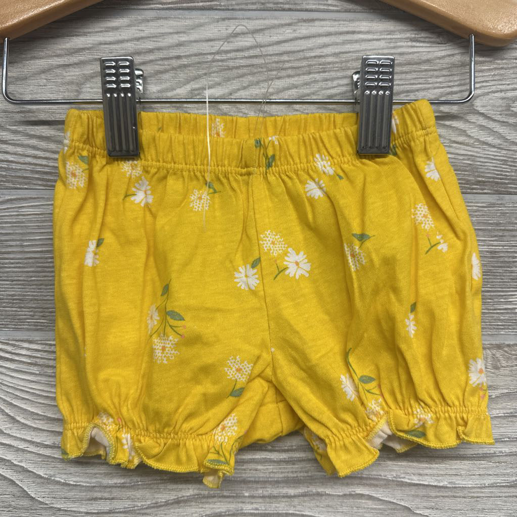 NEW Bodysuit, Flutter Sleeve Shirt & Shorts Flowers 3m