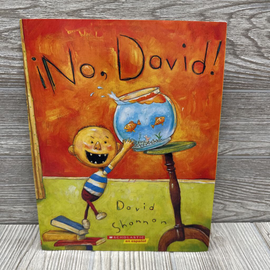 No David Paperback Book