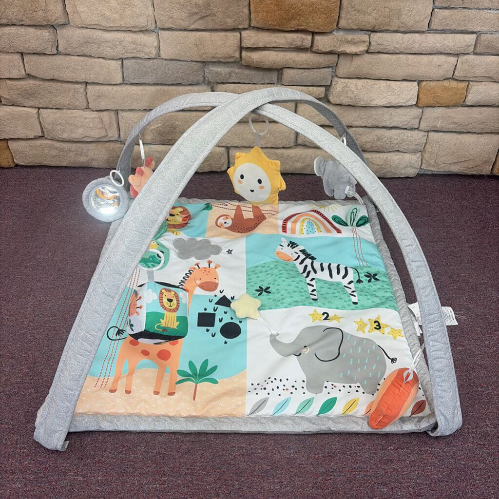 Safari 123 Activity Gym Play Mat *