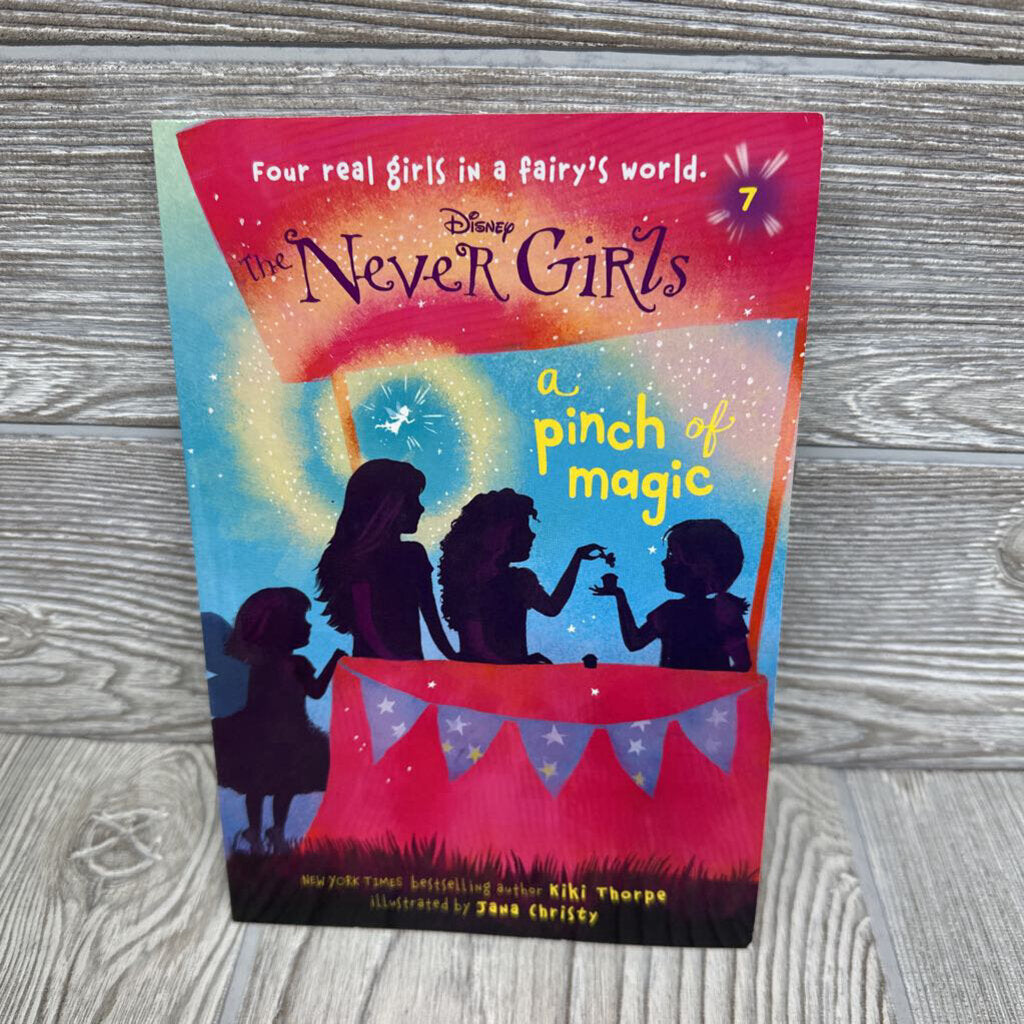 Never Girls A Pinch Of Magic Chapter Book