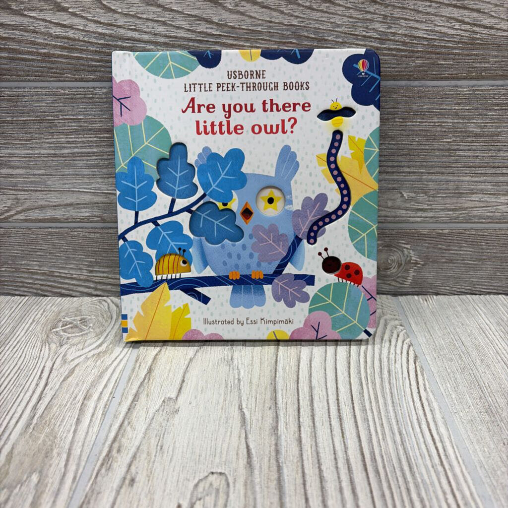 Usborne Are You There Little Owl Board Book