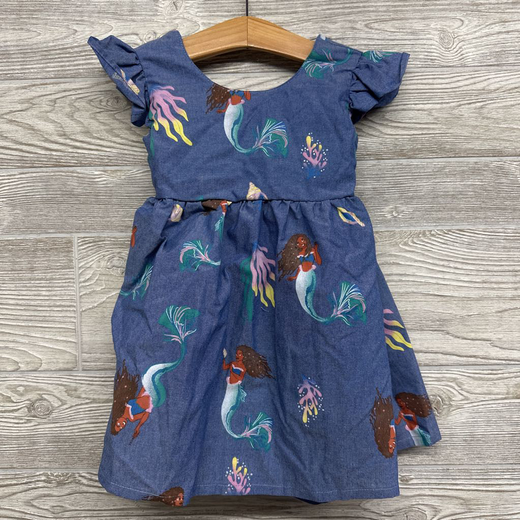 NEW Chambray Dress Ariel 2t