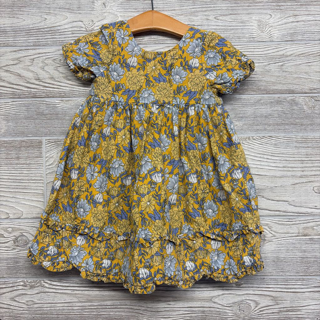 Dress Flowers Ruffle Trim 2t