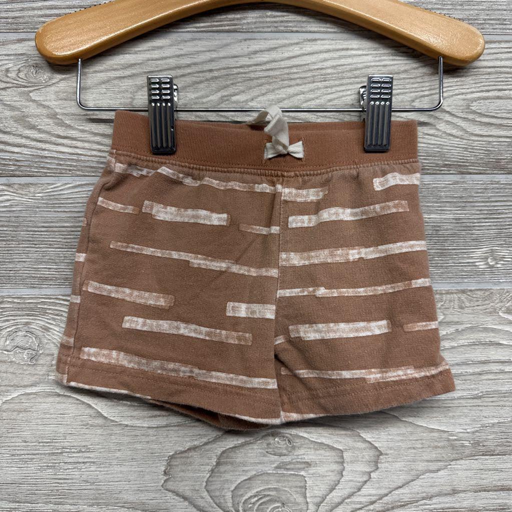 French Terry Crew & Shorts Cactus 9M