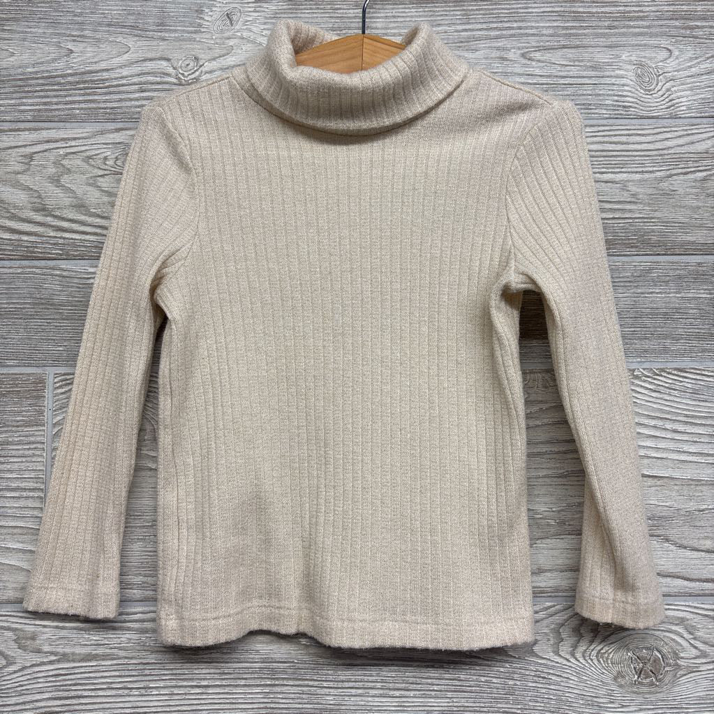 LS Ribbed Turtle Neck Shirt Shimmer 4T