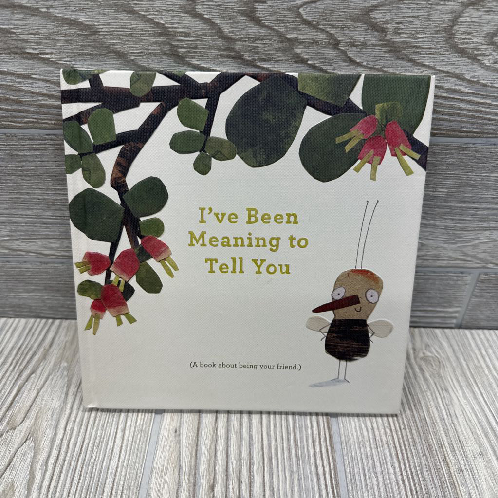 I've Been Meaning to Tell You Hardcover Book
