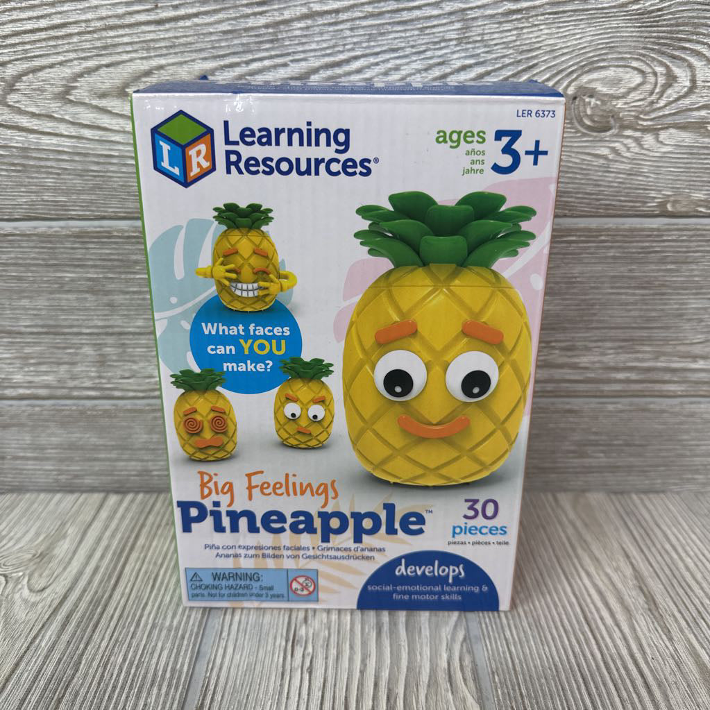 Big Feelings Pineapple