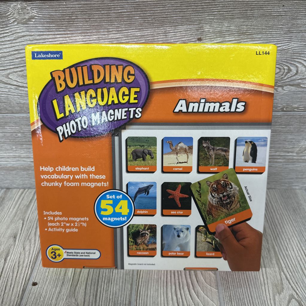 Building Language Photo Magnets Animals