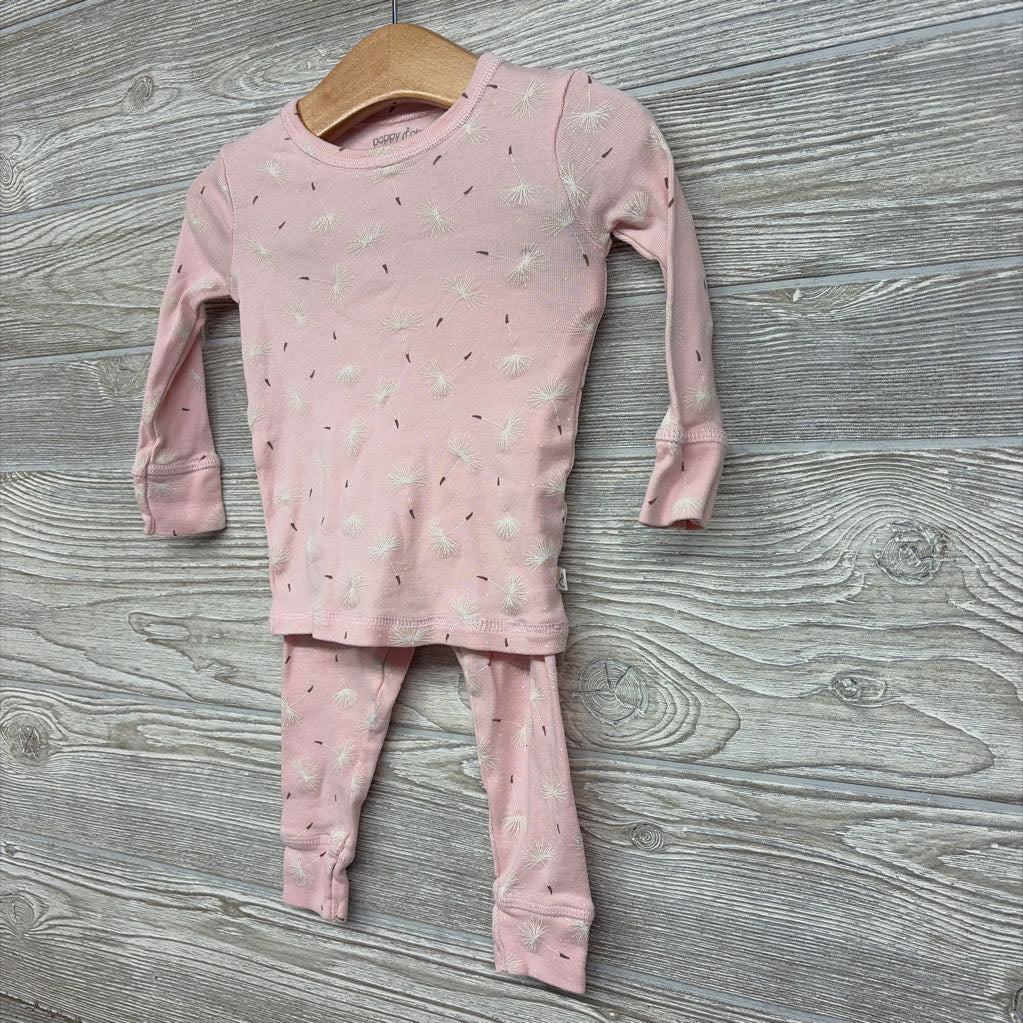 2 Pc LS Organic PJs Dandelions 12M