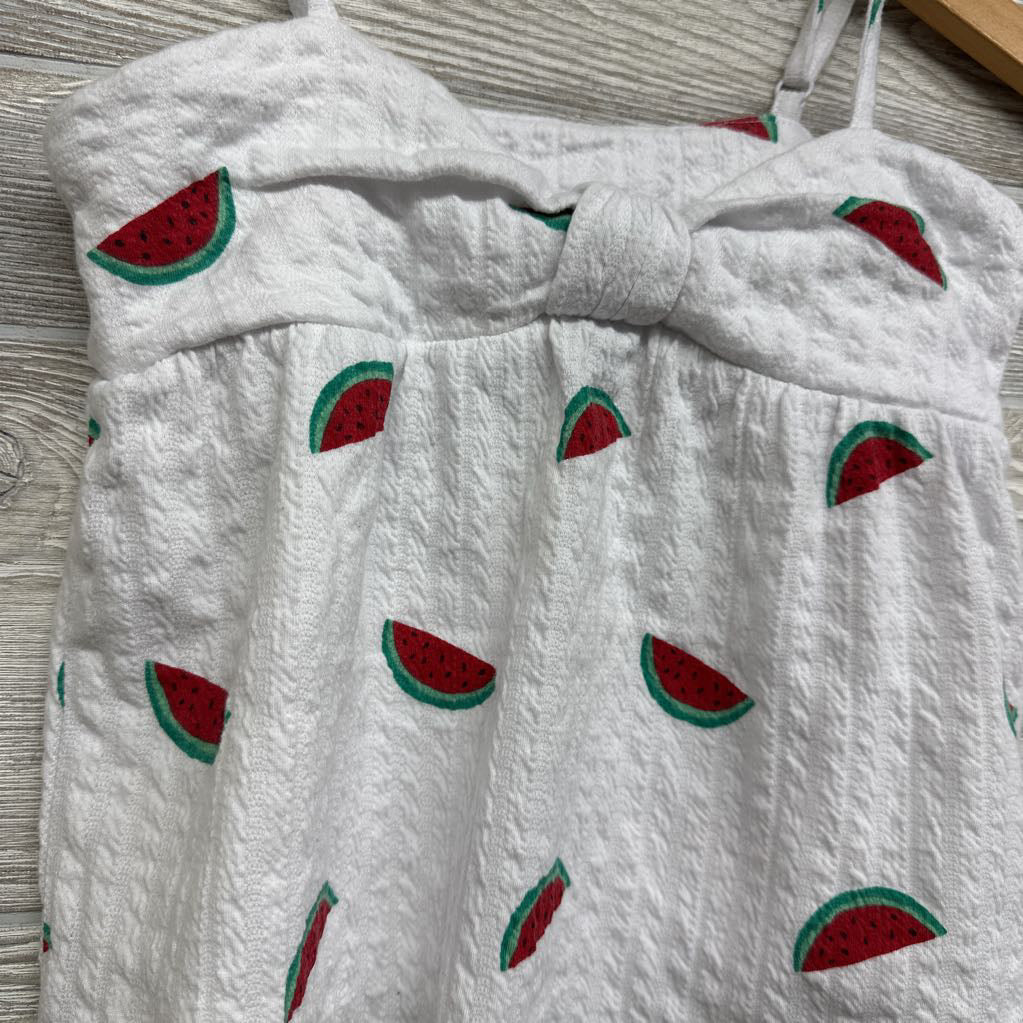 Texuted Tank Top Watermelons 8
