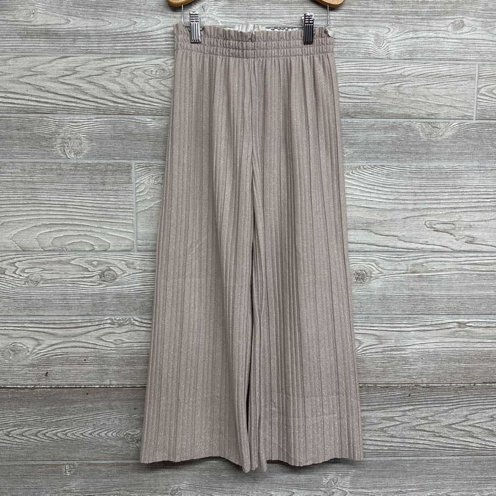 Pleated Wide Leg Pants 8 *