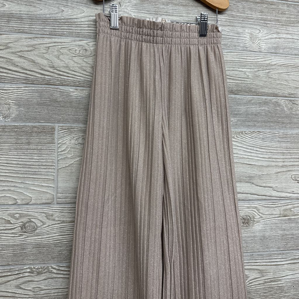 Pleated Wide Leg Pants 8 *
