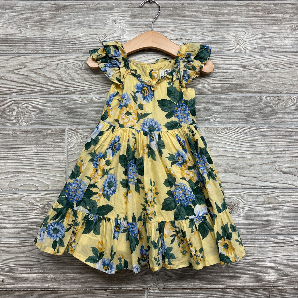 Nw/oT Flutter Sleeve Dress Flowers 18-24M