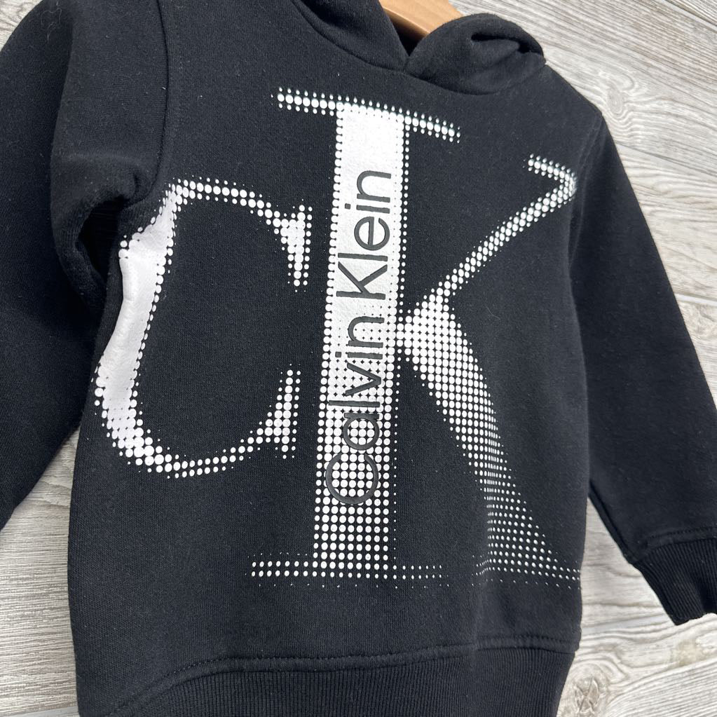 Hoodie Logo 2T