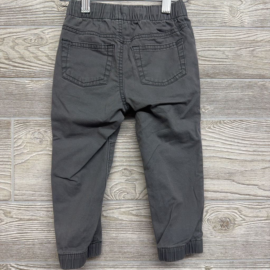 Pull On Drawstring Jogger Pants 2t