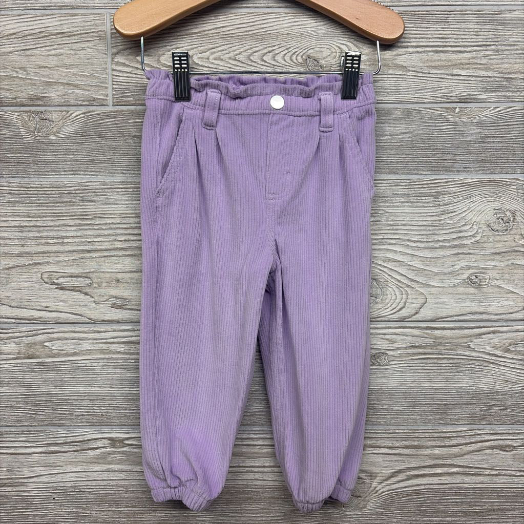 Ribbed Velour Pants 18M