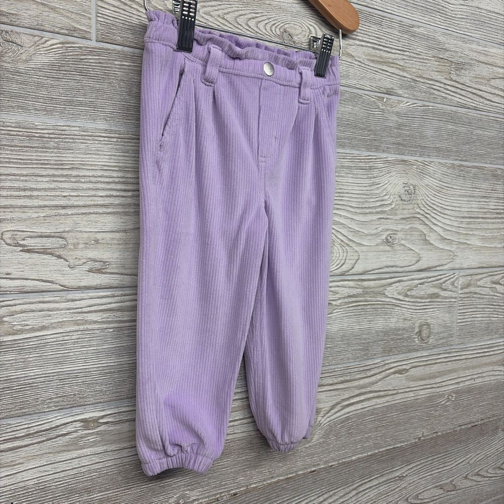 Ribbed Velour Pants 18M