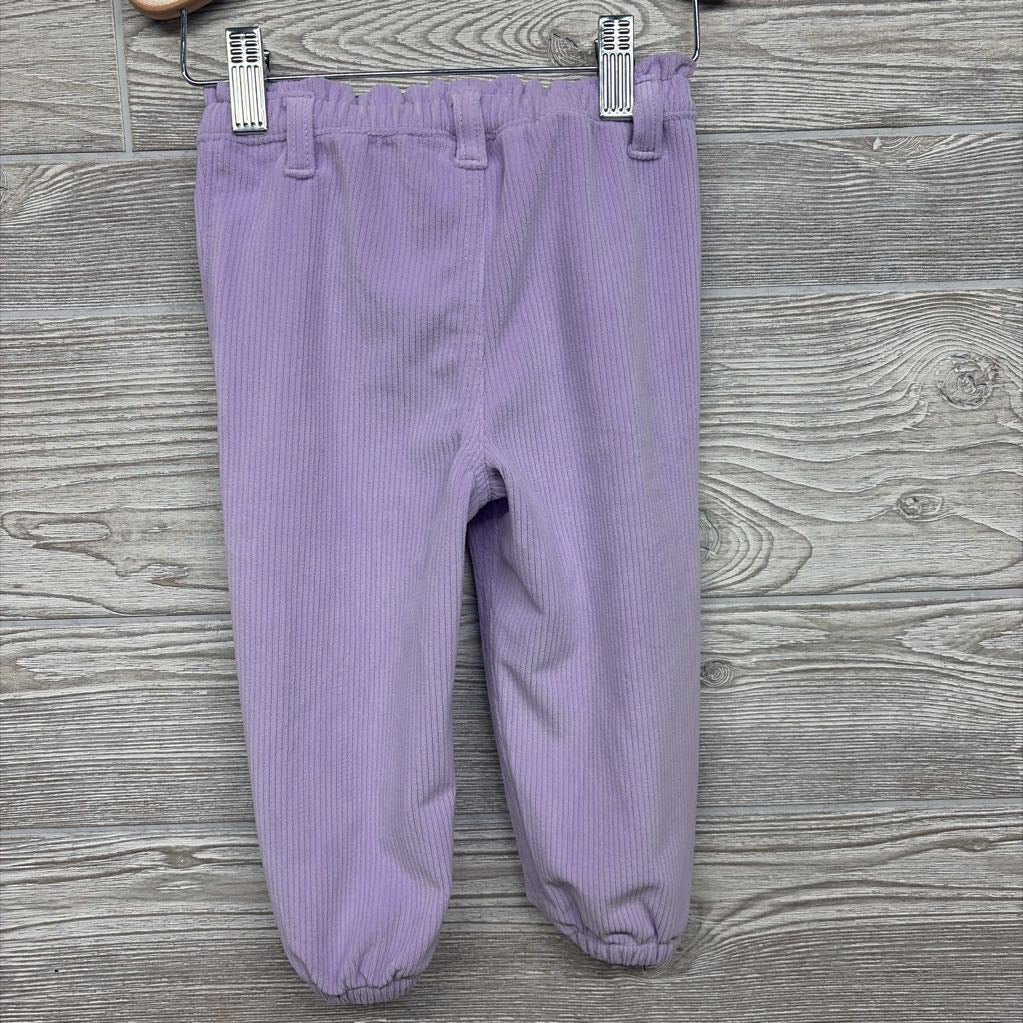 Ribbed Velour Pants 18M