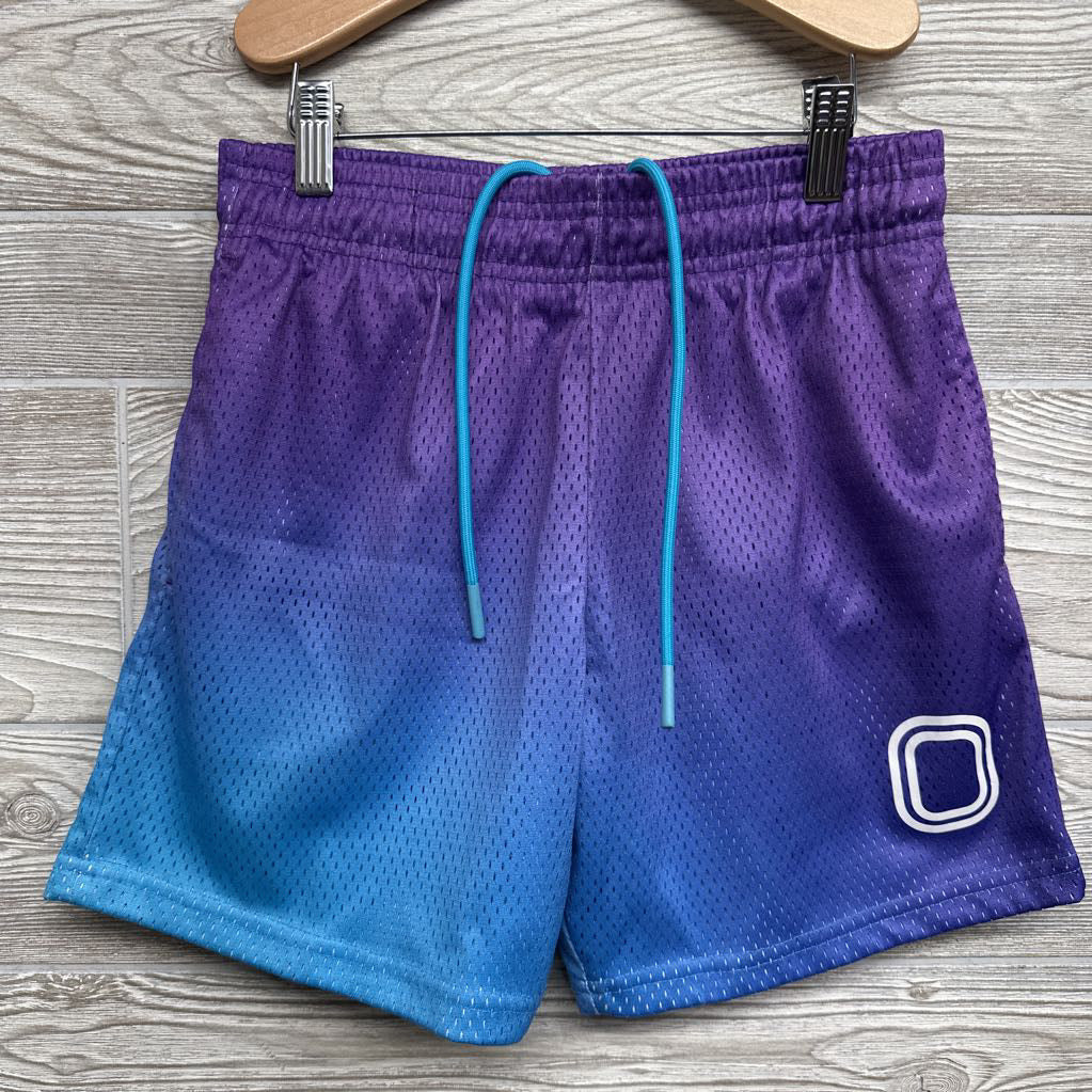 Mesh Shorts Ombre 13