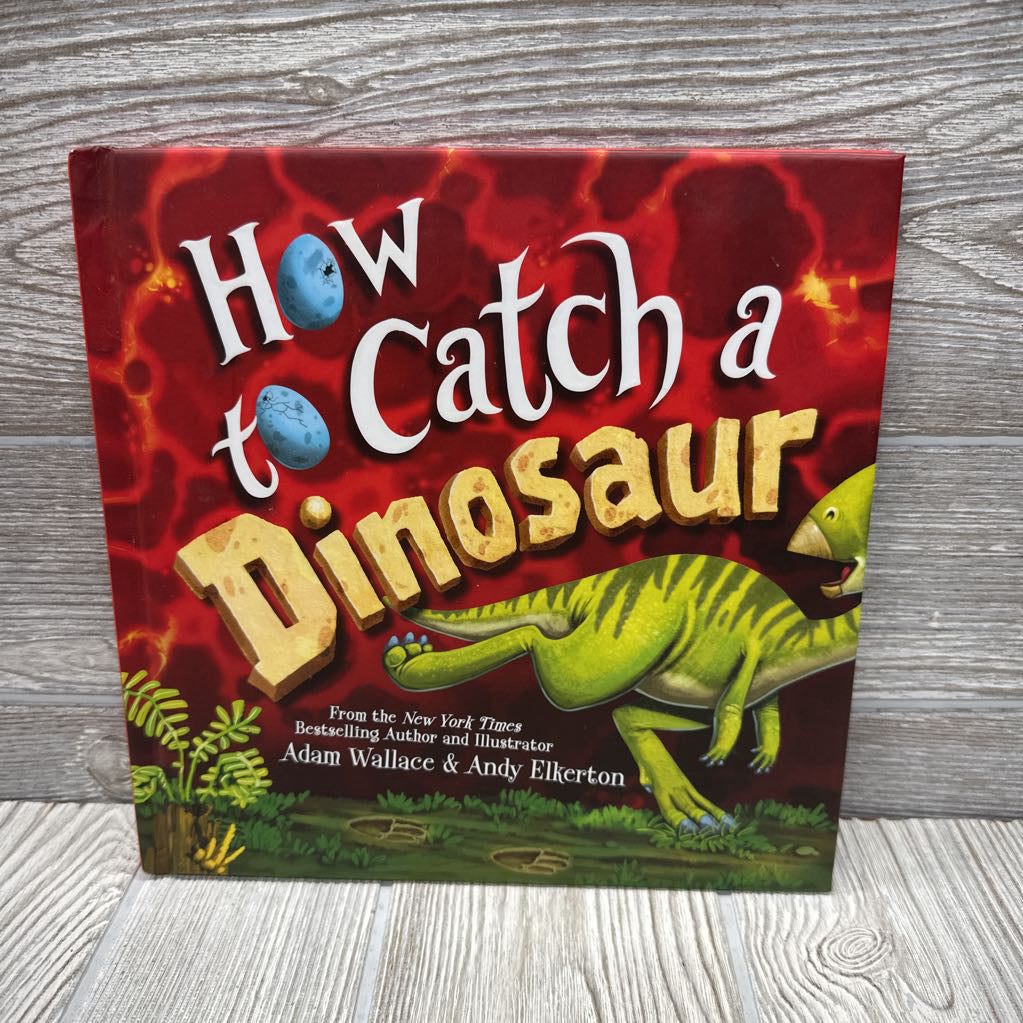 How To Catch A Dinosaur Hardcover Book