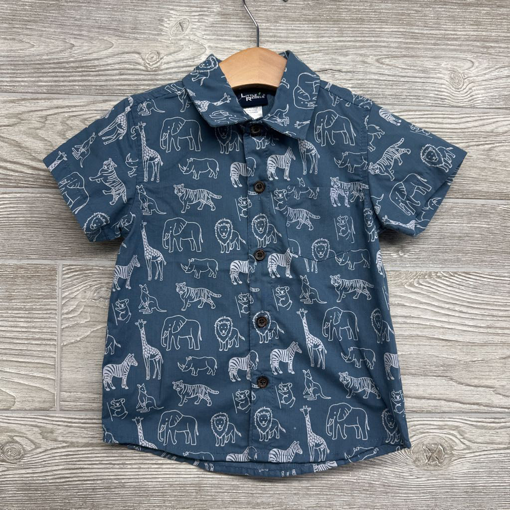 Button Up Shirt Tigers Lions Rhinos 3T