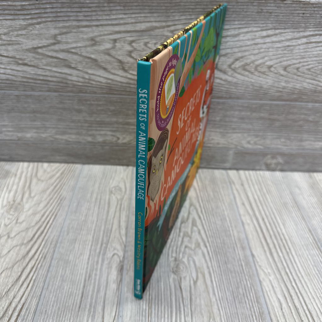 Shine A Light Secrets Of Animal Camouflage Hardcover Book