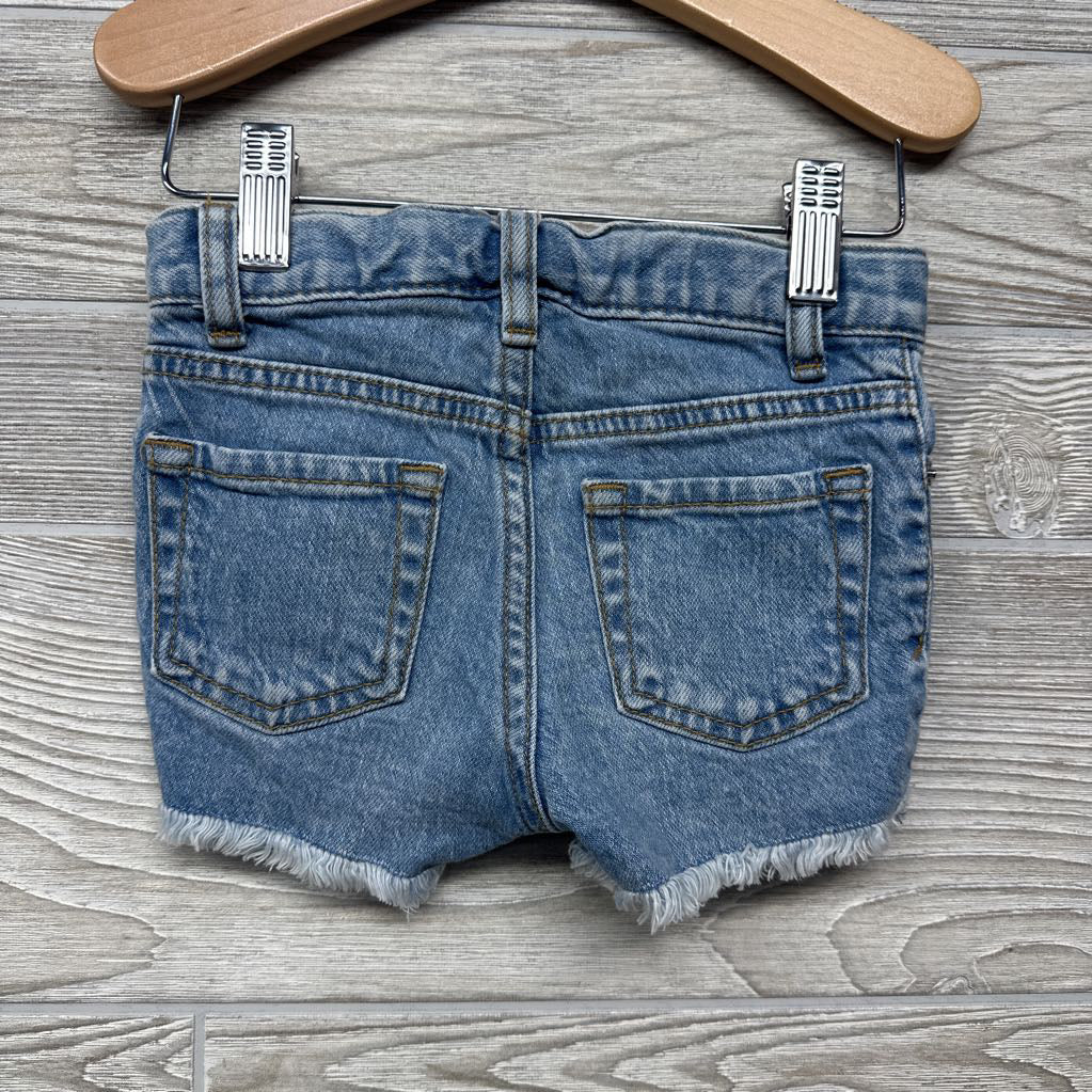 Denim Shorts Frayed Embroidered Flowers 2T