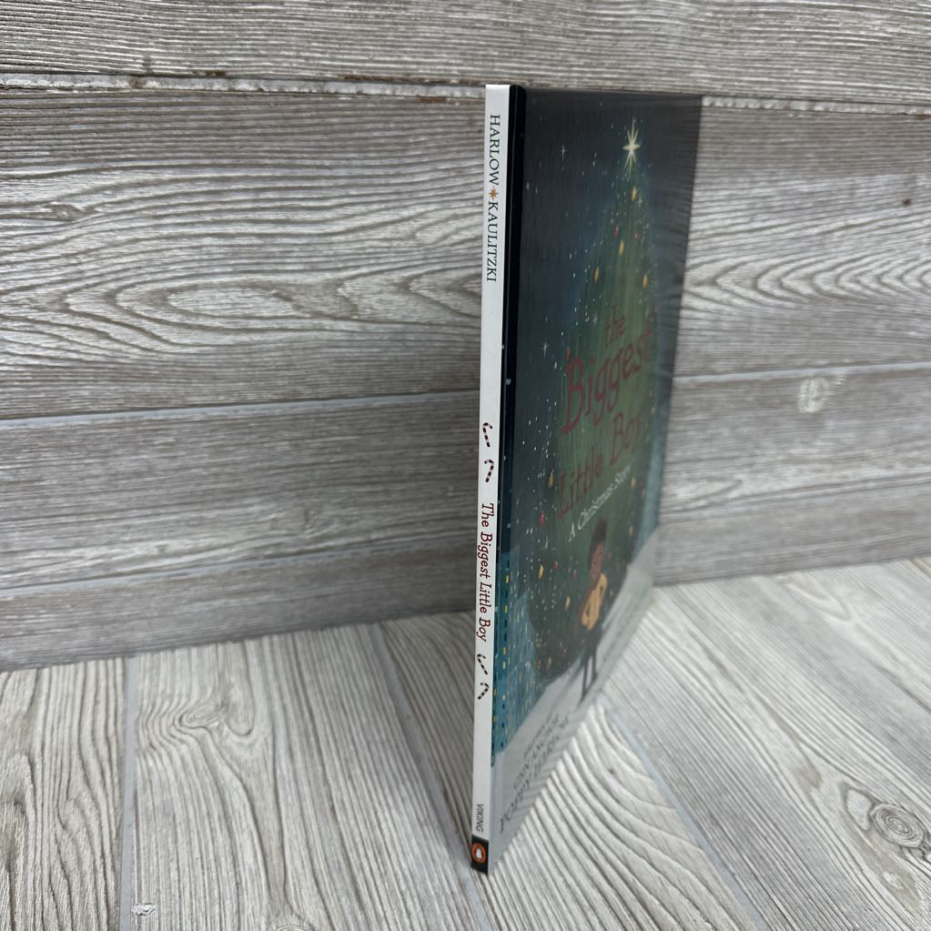 The Biggest Little Boy Hardcover