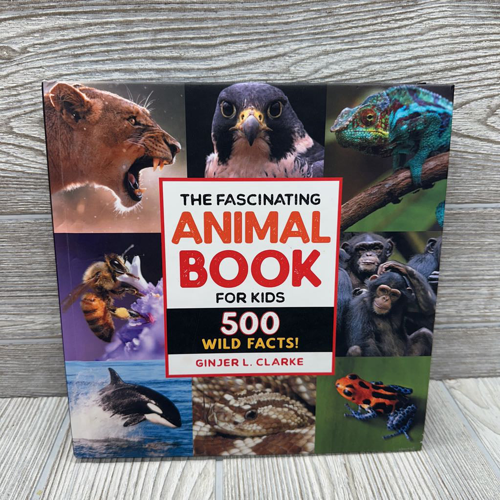 The Fascinating Animal Book