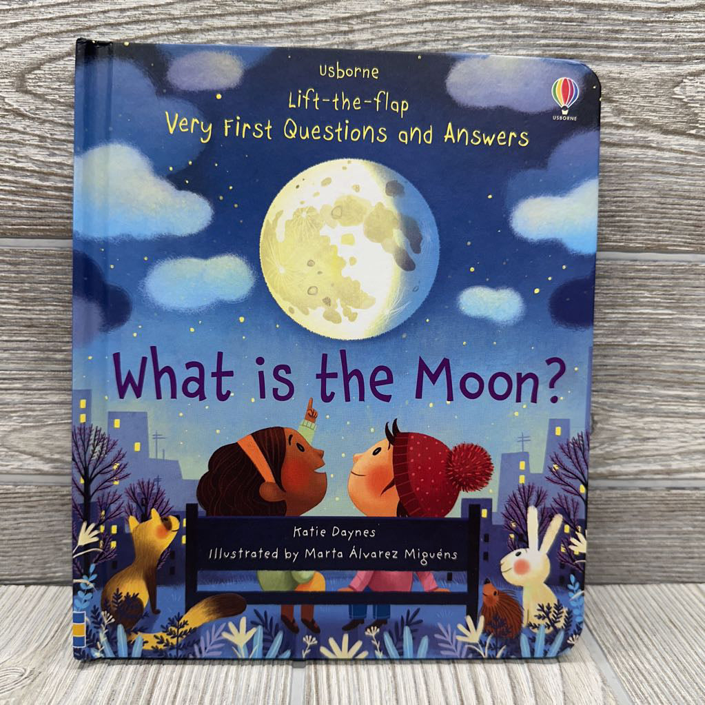 Usborne Lift Flap What Is The Moon?