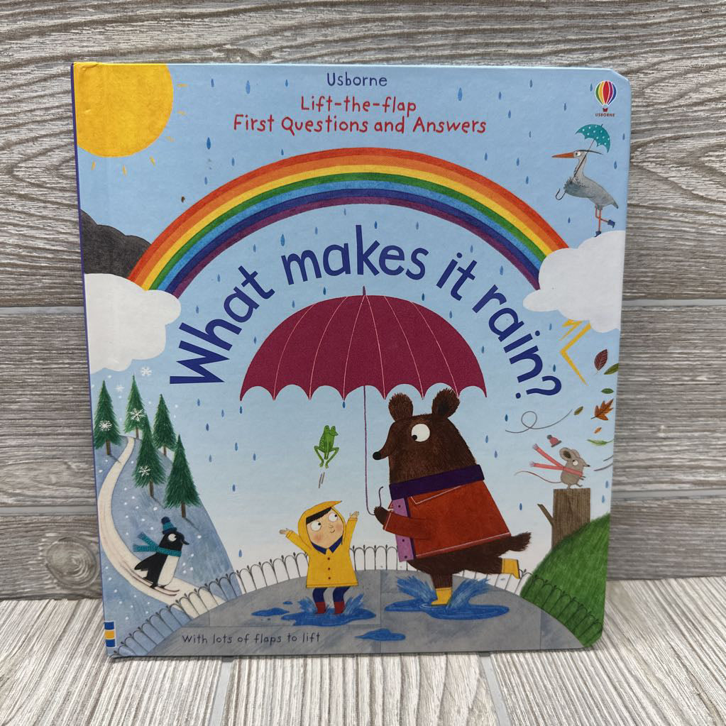Usborne Lift Flap What Makes It Rain?
