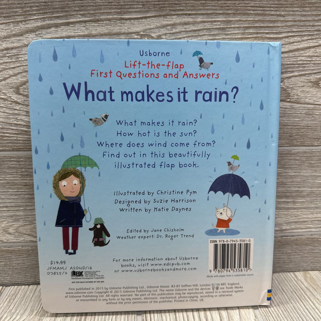 Usborne Lift Flap What Makes It Rain?