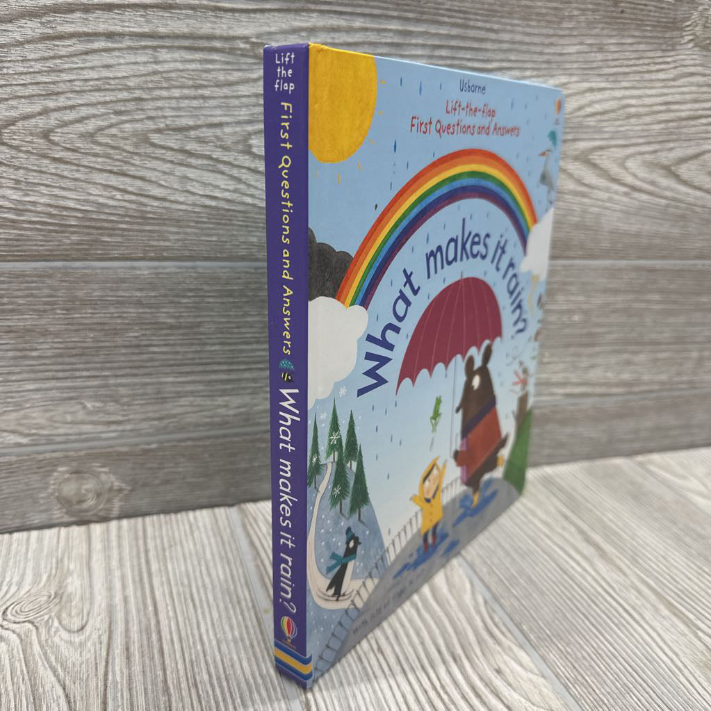 Usborne Lift Flap What Makes It Rain?