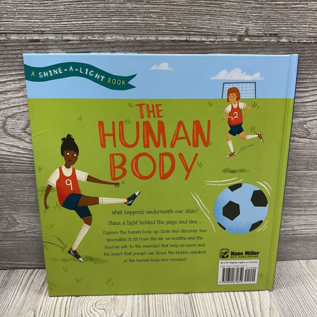 Shine A Light The Human Body Book