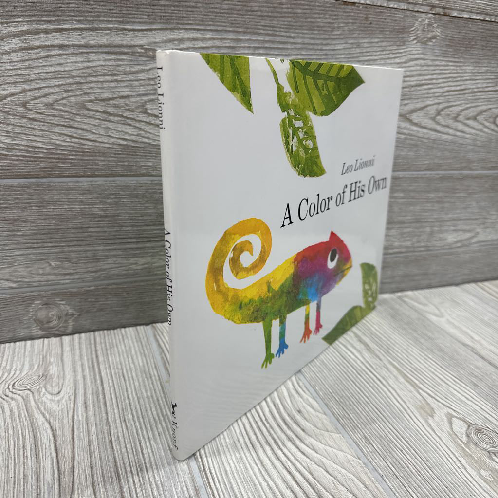 A Color Of His Own Hardcover Book