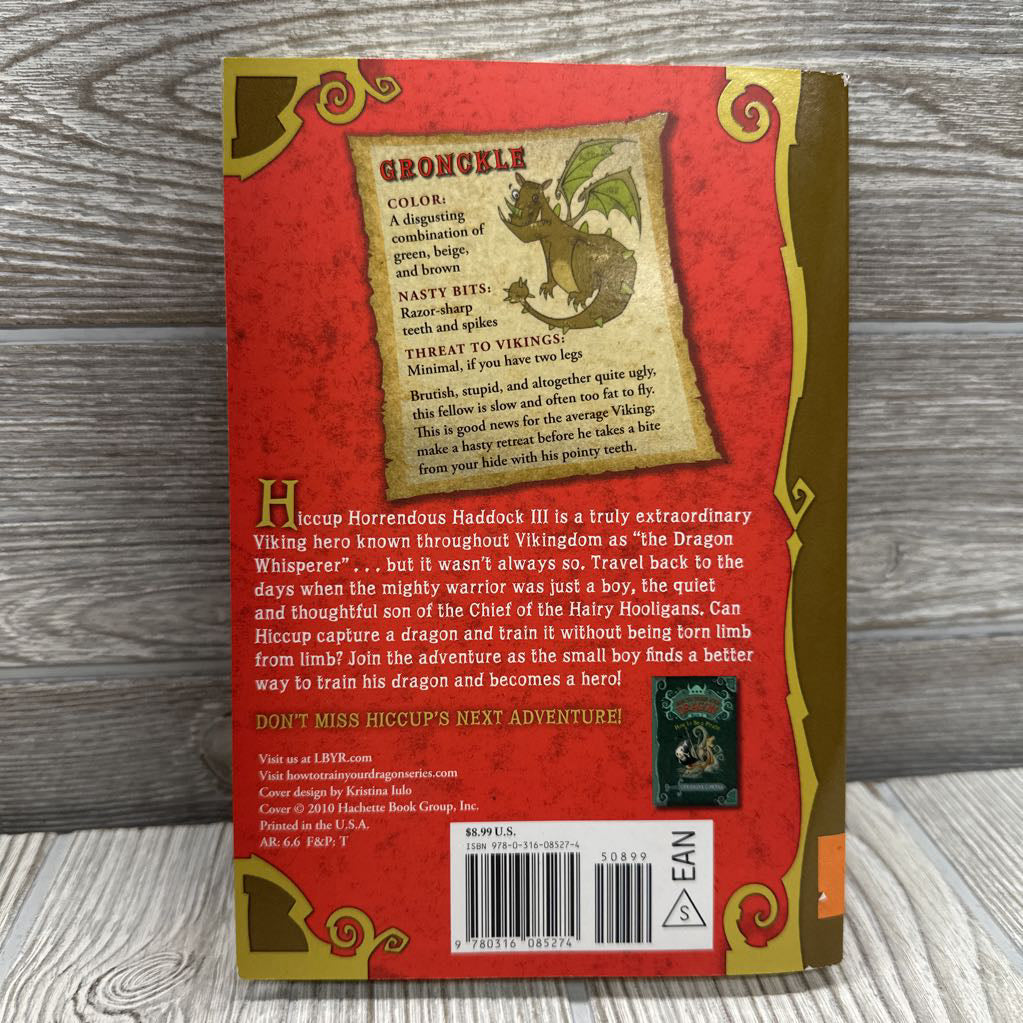 How To Train Your Dragon Chapter Book