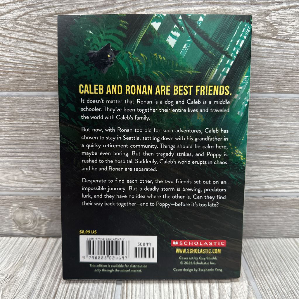 At The Edge Of Lost Chapter Book