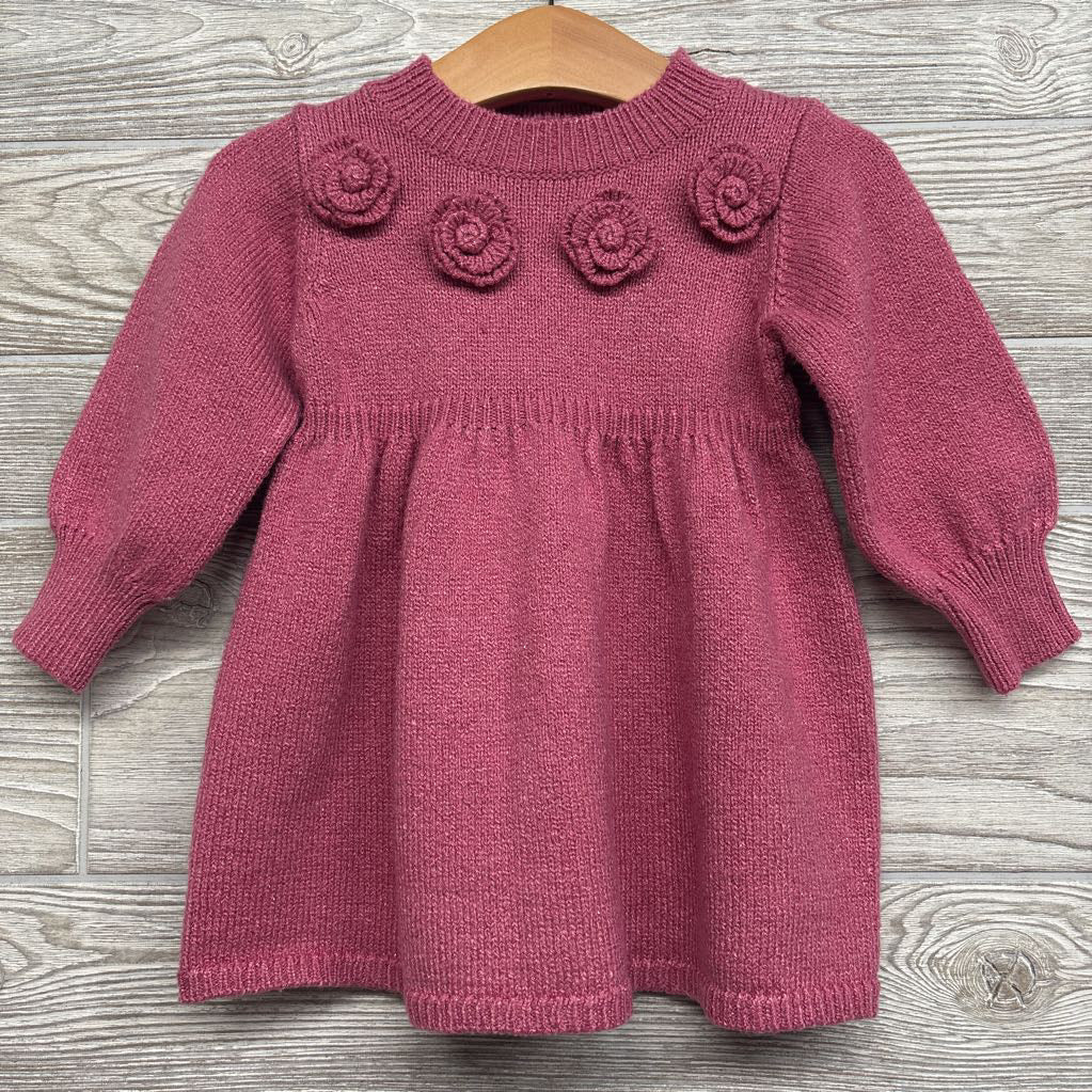Sweater Dress Roses 18M